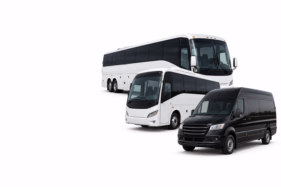 the type of bus