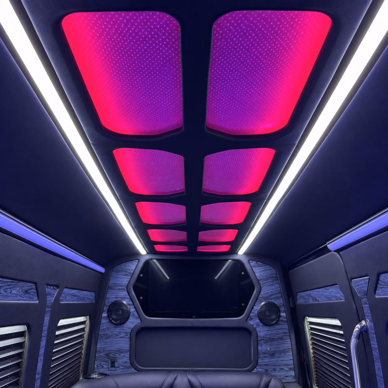 sprinter limo led ceiling