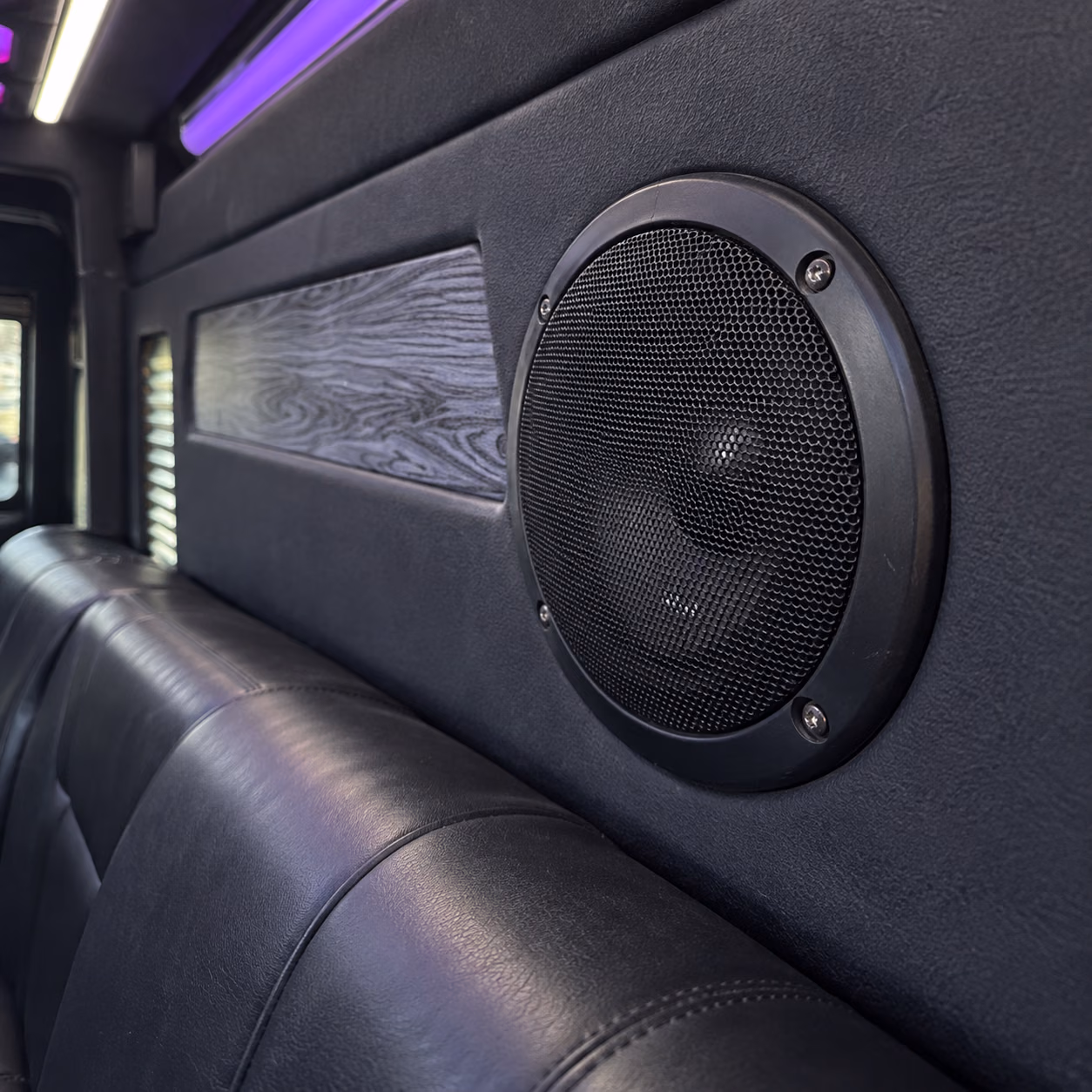 sprinter limo sound system