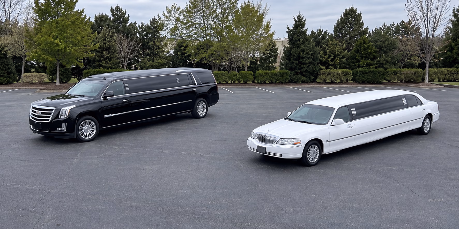 limousine hummer escalade chrysler 300 lincoln navigator excursion suburban and more