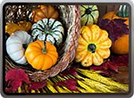 THANKSGIVING