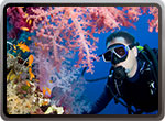 SCUBA DIVING
