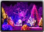 holiday light tour