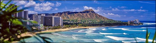 Party Bus and Limo Bus Rentals for Pearl City