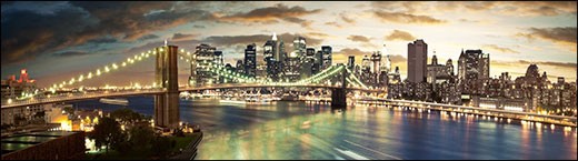 Party Bus and Limo Bus Rentals for New York