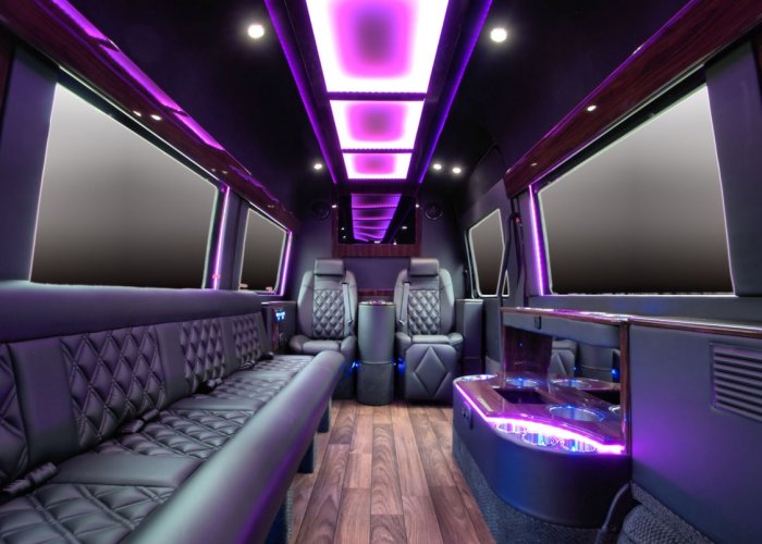 sprinter party van