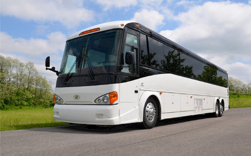 47 56 Passenger Charter Buses