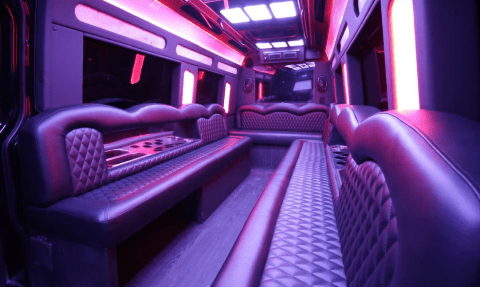 Mercedes Sprinter Limos Interior